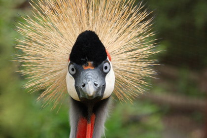 tierpark-berlin-lichtenberg.jpg